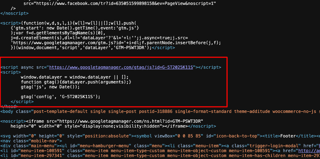 google-tag-example 1 - MonsterInsights Google tag installation example