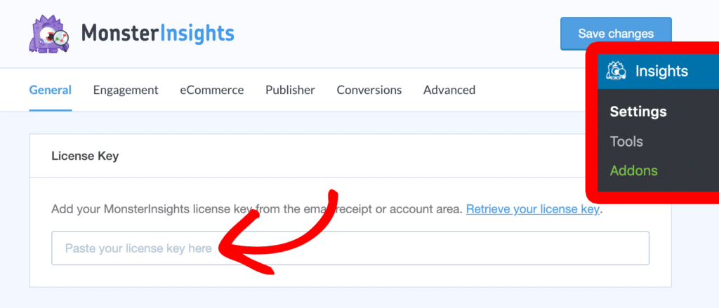 monsterinsights-license-key-settings